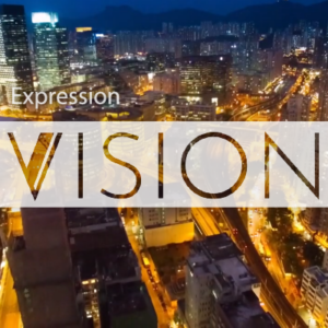 Expression vision